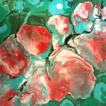 Blossom  - 
