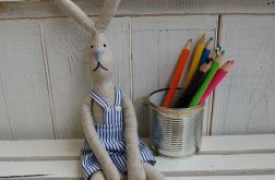 Eryk - skandynawski królik