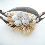 Ptasie gniazdo w łupinie - odsłona druga - 