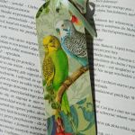 Zakładka do książki papużki faliste, papugi - papużki faliste