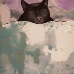 “O czym śnią koty?”, autorski plakat A3, sygnowany - pełna grafika