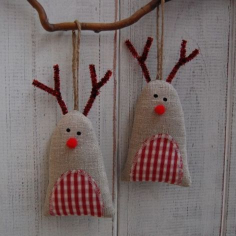 Rudolf - Brzuchol kraciasty