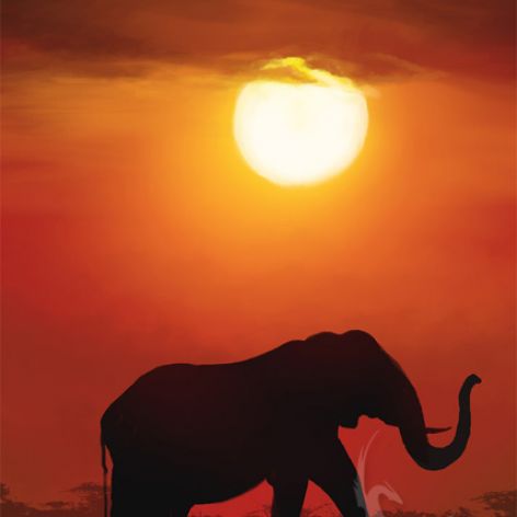 Obraz - Afryka 2 - płótno, zachód słońca
