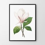 Plakat magnolia vintage 50X70 B2 - 