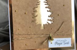 Kartka świąteczna w pudełku! Voucher! Gotówka! #2