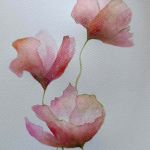 Maki 2-akwarela formatu 24/18 cm  - 