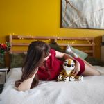 Tygrysek pluszowy, Maskotka tygrys, Prezent dla dziecka - Jest nie tylko doskonały do zabawy, przytulania lub jako urocza dekoracja do pokoju dziecięcego, ale też oryginalny rekwizyt do klimatycznych sesji zdjęciowych z dziećmi.
