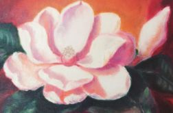Magnolia
