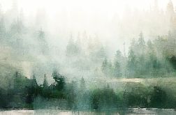 Obraz na płótnie - Las we mgle Abstrakcja - 100x70 cm (1-0306)