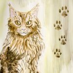 Malowany akwarelami Kot Mainecoon - Przedstawiam tu rasowego Mainecoona, jakże towarzyskiego i mądrego kota.