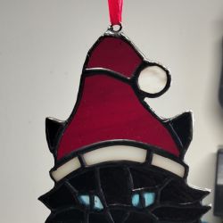 Kotek w czapce Mikołaja