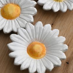 Margaretka z profilowanymi płatkami