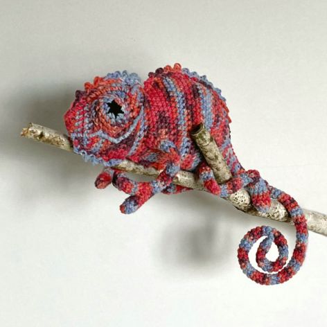 Czerwono-niebieski kameleon szydełkowy
