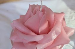 Świeca kwiat róży lepiona z wosku pszczelego