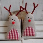 Rudolf - Brzuchol kraciasty - 