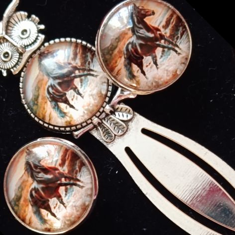 Rumak - spinki do mankietów i zakładka do książki