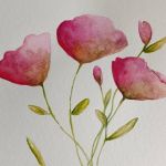 Maki-akwarela formatu 18/24 cm - 