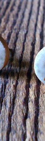 Kolczyki ceramiczne Nakrapiane Pastylki