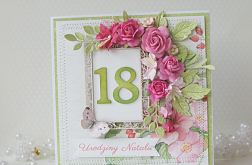 Kartka urodzinowa z okazji 18 urodzin v.7