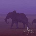 Obraz - Afryka 3 - płótno - natura, pejzaż, słonie - 