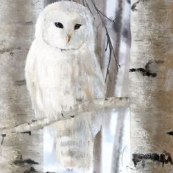 Obraz - Biała sowa - płótno - malowany