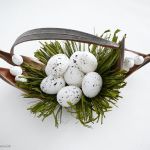 Ptasie gniazdo w łupinie - 