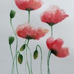 Maki 4-akwarela formatu A5 - 