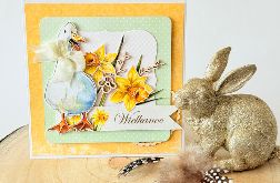 Z kaczuszką (vol.2)