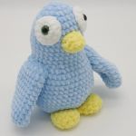 Pingwinek błękitny - zdjęcie z pierwszego profilu