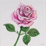 Róża - obraz malowany na płótnie lnianym - Róża na białym płótnie
