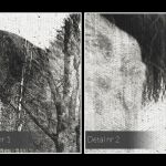 Obraz na płótnie - WILK CZARNO-BIAŁY - 120x80 cm (14202) - LEŚNA WATAHA - NOWOCZESNY OBRAZ NA PŁÓTNIE - 120X80 CM