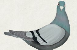 Kartka urodzinowa z gołębiem na zamówienie