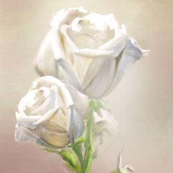 Obraz - Róże - płótno