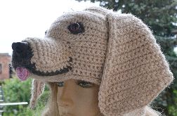 Czapka uszatka pies golden retriever