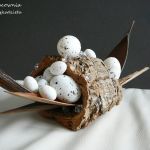 Gniazdo ukryte w korze - 