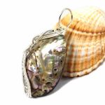 Srebrny wisior z muszlą abalone dwustronny - wisiorek wire wrapped
