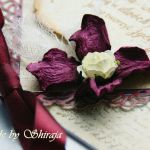 Kopertówka z okazji ślubu-  ' rubinowe motyle - 