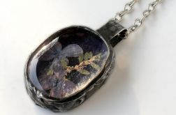 Herbario w fiolecie: bez