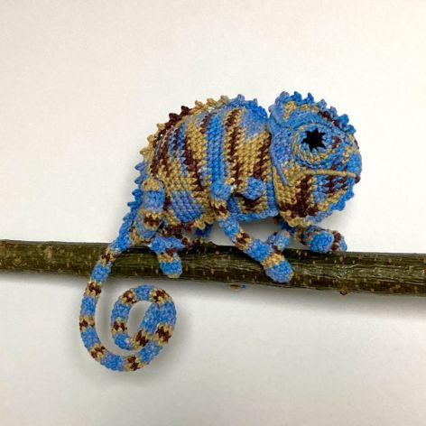 Niebiesko-brązowy kameleon szydełkowy