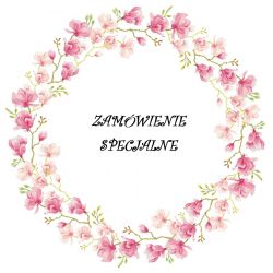 Zaproszenia Jedyneczki z Lwem - zam.specjalne 