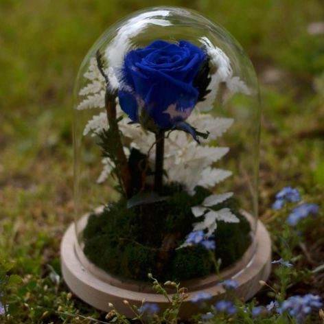 Wieczna róża w szklanej kopule 19cm z mchem.