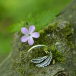 OTULAJĄCE PAPROCIE - srebrny pierścionek regulowany - 