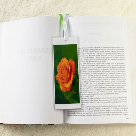 Zakładka do książki - róża herbaciana
