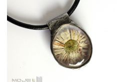 Zaszklona stokrotka III