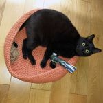 Legowisko okrągłe BATI dla psa kota 40 cm  - ręcznie robione legowisko dla kota