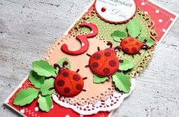 Biedronki na 3 Urodzinki