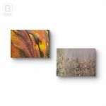 Kompozycja prac na płótnie,  Polskie knieje,  40x50x2 cm. - 