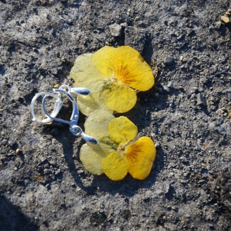 Zatopek Bratek kwiat I