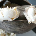 Kwiaty w pękniętej skorupie - 