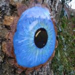 Niebieskie oko - Niebieskie oko
